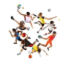 行业门户整体结构示意